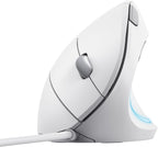 Maus Trust Verto Vertical