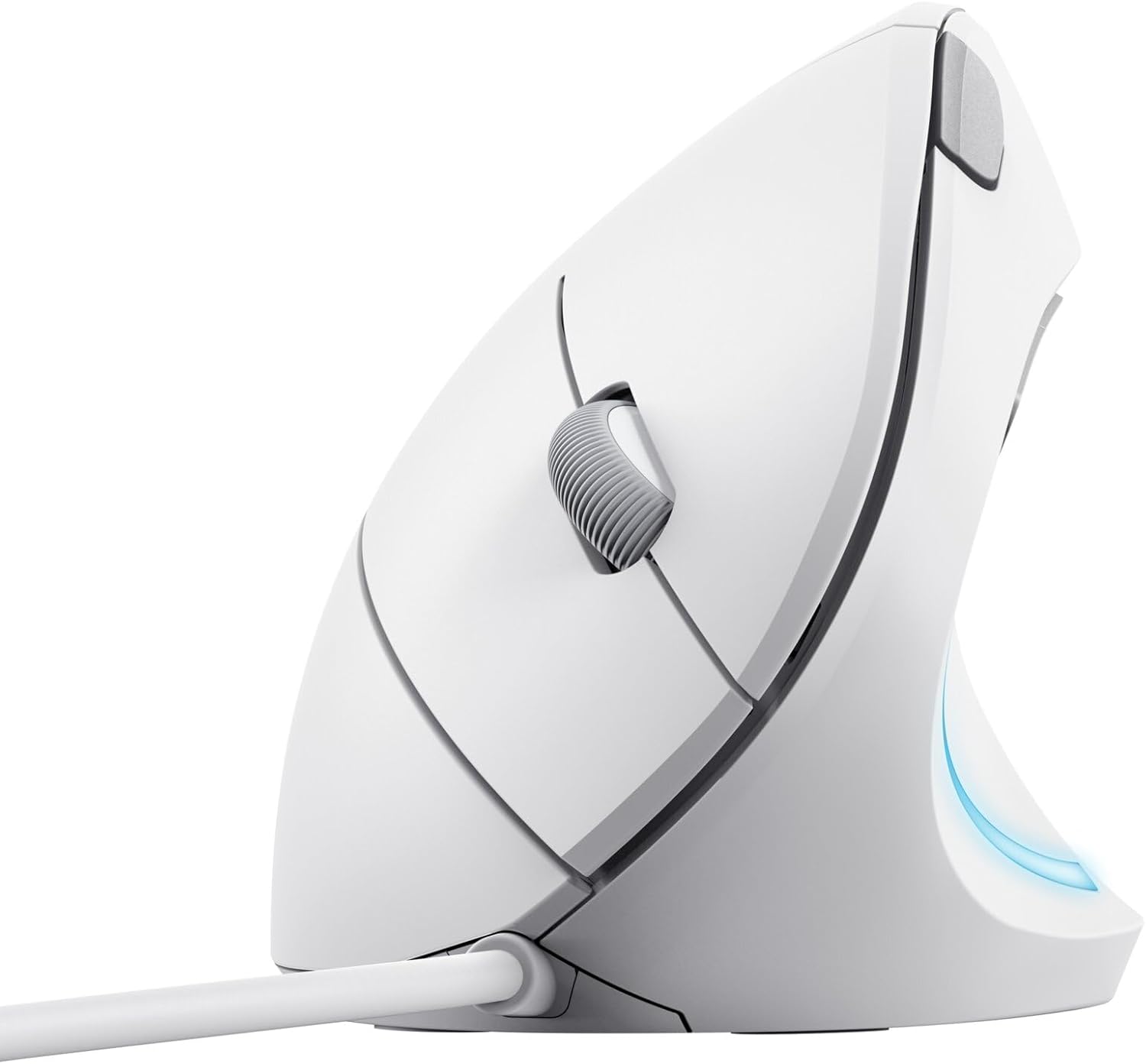 Maus Trust Verto Vertical