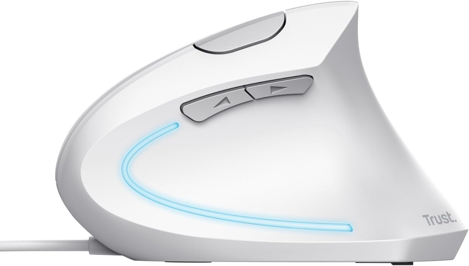 Maus Trust Verto Vertical