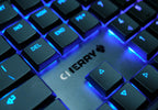 {OUTLET} CHERRY MX 10.0N RGB