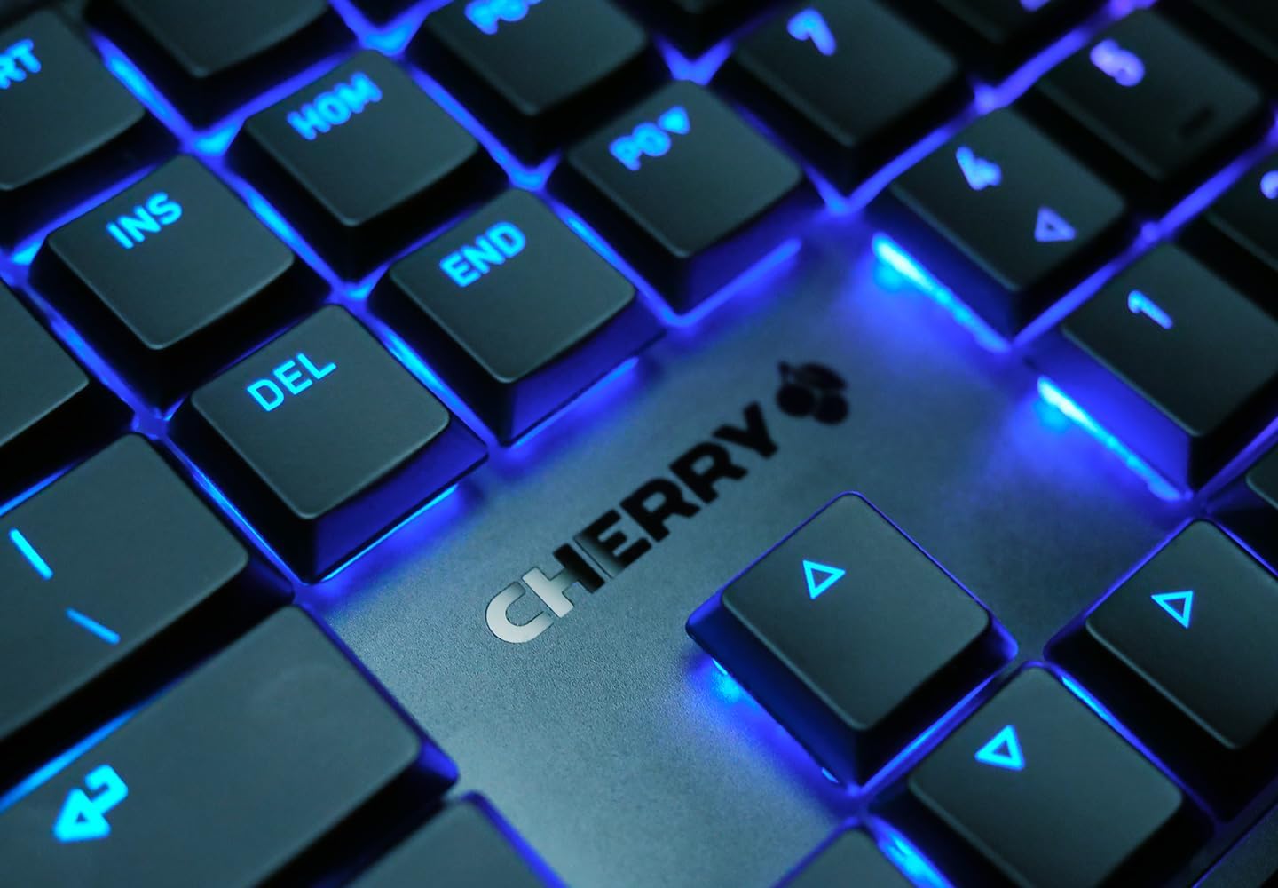 {OUTLET} CHERRY MX 10.0N RGB
