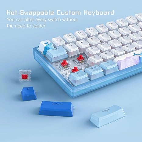 Tastiere WK61 Mechanical Keyboard 60% Wired