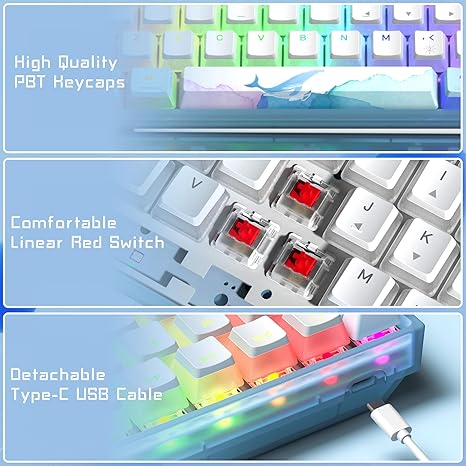 Tastiere WK61 Mechanical Keyboard 60% Wired